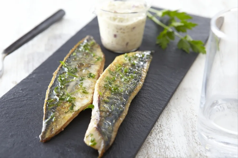 Recette Maquereau à la plancha et coulis de rhubarbe